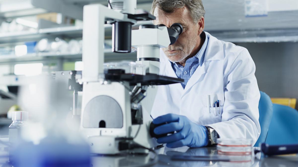 Oamenii de știință din Rusia au dezvoltat compuși noui pe bază de extract de molid, demonstrând în teste de laborator eficiența lor în încetinirea coagulării sângelui