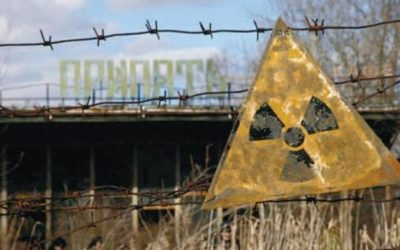 Nouă formă de viață, descoperită la Cernobîl, la 40 de ani după dezastru