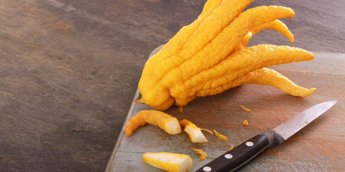 citricele-regleaza-emotiile-shutter_Descopera-scaled.jpg - NewsFactor