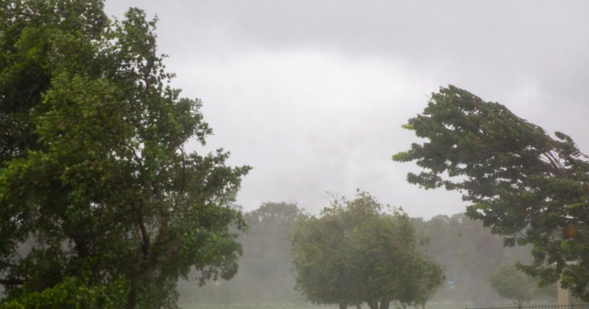 Cod galben de vânt sâmbătă peste România: Ploi și vreme schimbătoare săptămâna viitoare