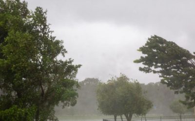 Cod galben de vânt sâmbătă peste România: Ploi și vreme schimbătoare săptămâna viitoare