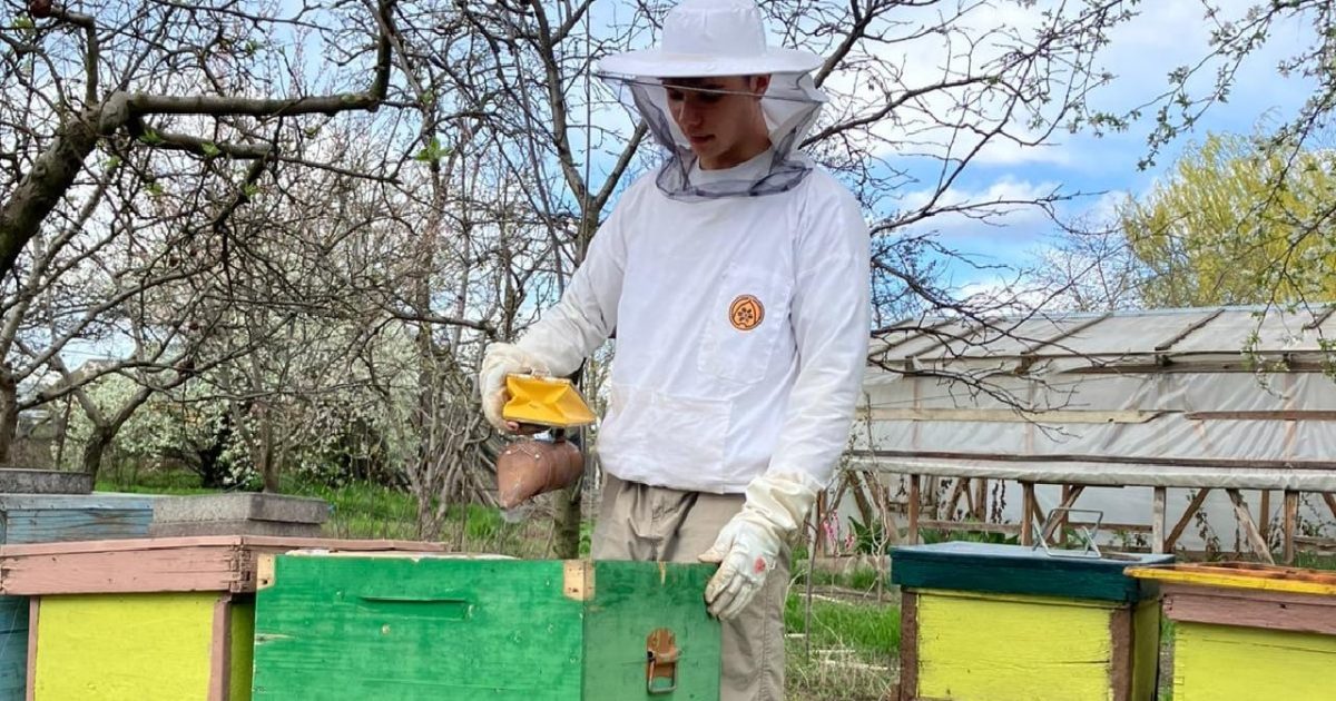 Albine cumpărate din bursă și alocație: Un mic fermier român cucerește Europa