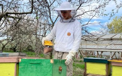 Albine cumpărate din bursă și alocație: Un mic fermier român cucerește Europa