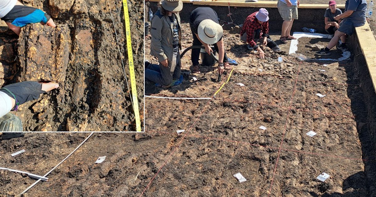 Arheologii din România și Germania, descoperire-șoc la Cucuteni