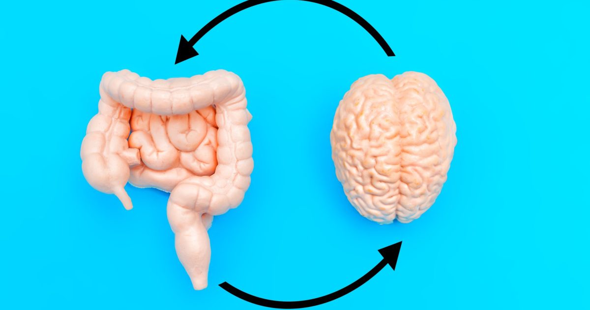 Mâncarea din copilărie îți schimbă creierul pe viață, arată un studiu