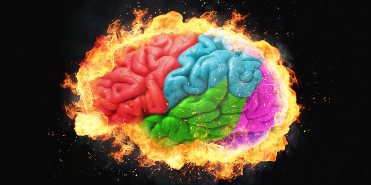 creier-lobul-frontal-shutter_Descopera-scaled.jpg - NewsFactor