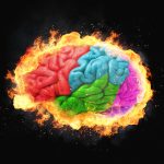 creier-lobul-frontal-shutter_Descopera-scaled.jpg - NewsFactor