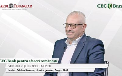Cristian Secoșan (Delgaz Grid): Moldovei, între dezvoltare și investiții