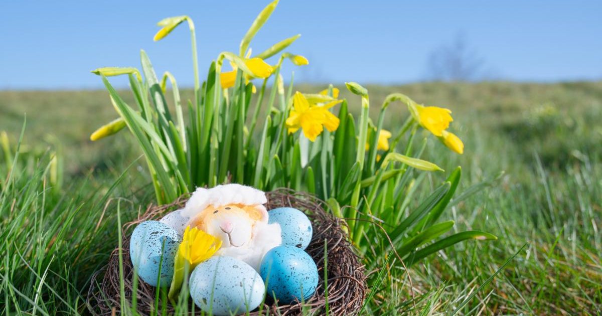 Vreme de groază la Înviere: ANM anunță ger năprasnic și ploi