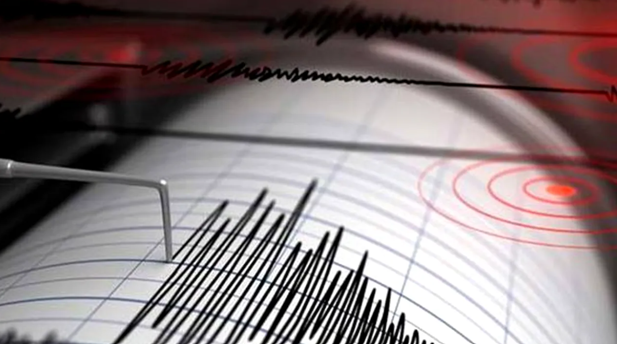 Cutremur în Vrancea, azi dimineață: Ce magnitudine a avut seismul?