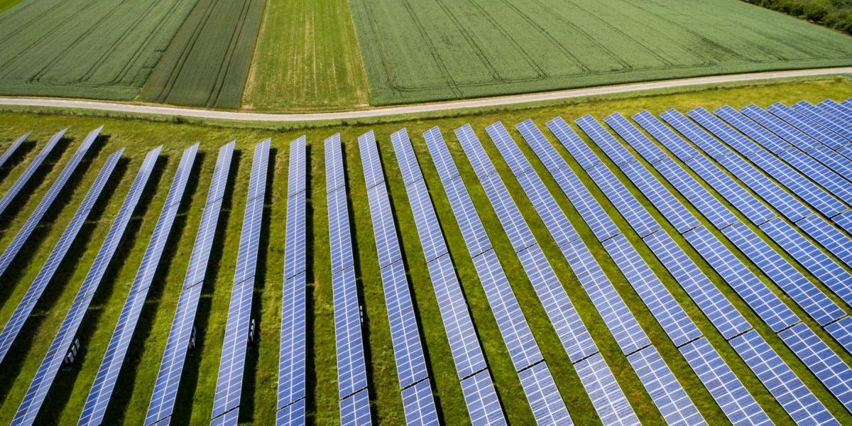 de-ce-planurile-pentru-cea-mai-mare-ferma-solara-din-europa-s-ar-putea-sa-nu-se-concretizeze-nicioda.webp - NewsFactor