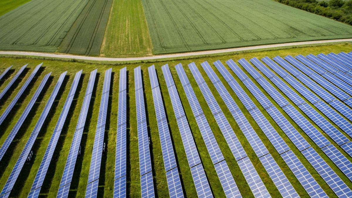 Planurile pentru construirea celui mai mare parc solar din Europa, amplasat în Anglia, sunt în așteptare, după ce autoritățile au amânat decizia finală cu patru luni