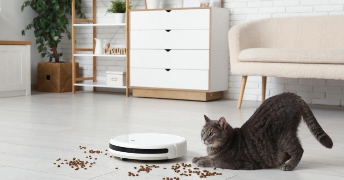 De ce merită un aspirator robot? 7 motive să scoți banii din buzunar