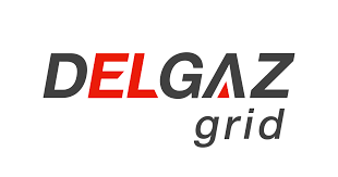 Delgaz Grid bagă 241 milioane euro în rețelele de gaze și curent, în 2025