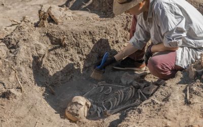 Amud 7, bebeluș Neanderthal, crește Rapid: Oamenii moderni, depășiți