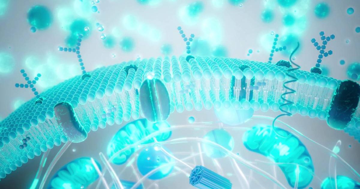 Balonare, greață, reflux după Paște? Ghid Rapid pentru digestie ușoară