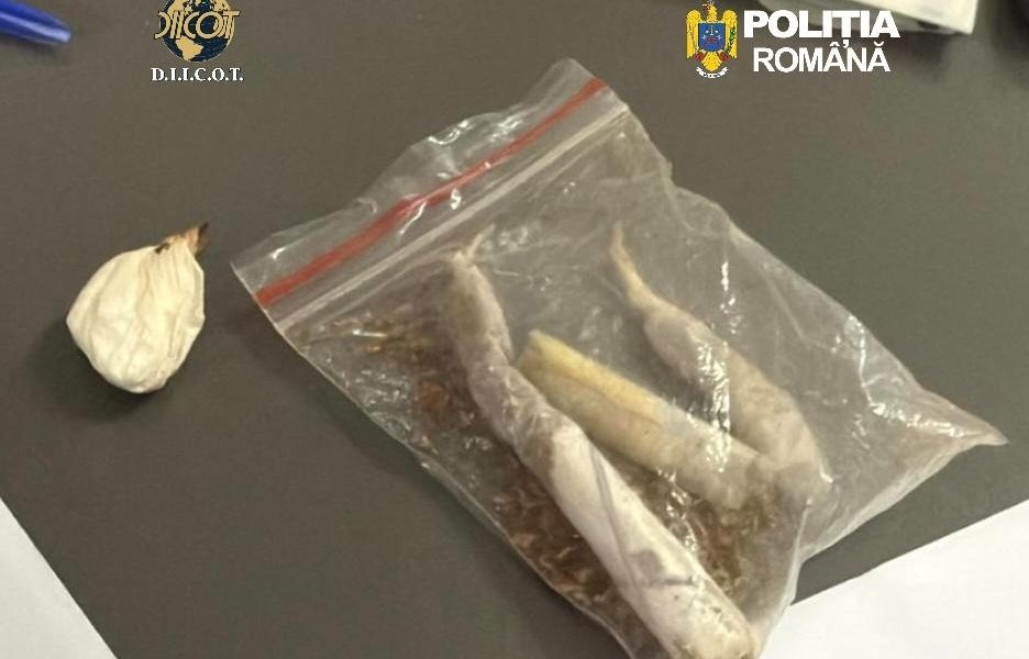 droguri-cluj.jpeg - NewsFactor