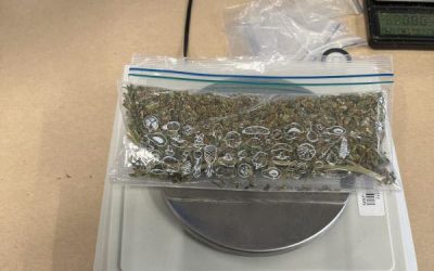 Marș de droguri în România: Polițiștii au confiscat tone în două săptămâni