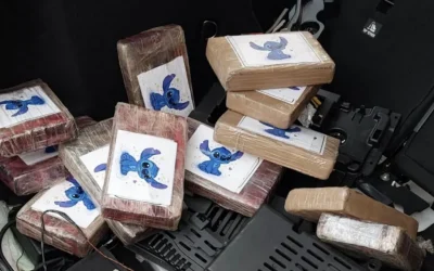 Stitch, secretul de 240.000 de euro: Român și albaneză, prinși cu marfă interzisă