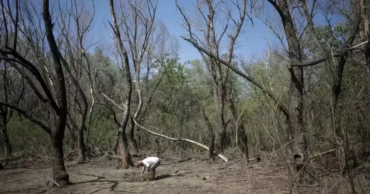 Alertă RO-Alert în Tulcea: O țintă a intrat în spațiul aerian românesc!