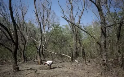 Alertă RO-Alert în Tulcea: O țintă a intrat în spațiul aerian românesc!