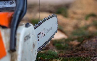 Bărbat din Alba, UCIS cu drujbă: Dosar de ucidere din culpă