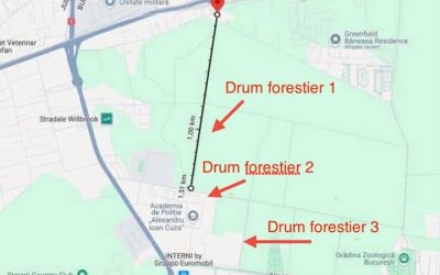 Directorii silvici, pe lista neagră: Buzoianu cere demiteri la Romsilva