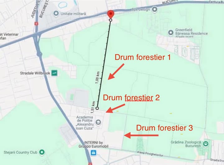 Directorii silvici, pe lista neagră: Buzoianu cere demiteri la Romsilva