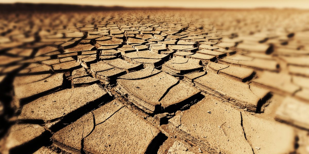 Seceta amplifică pericolul: Bacteriile rezistente la antibiotice, amenințare majoră