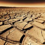 Seceta amplifică pericolul: Bacteriile rezistente la antibiotice, amenințare majoră