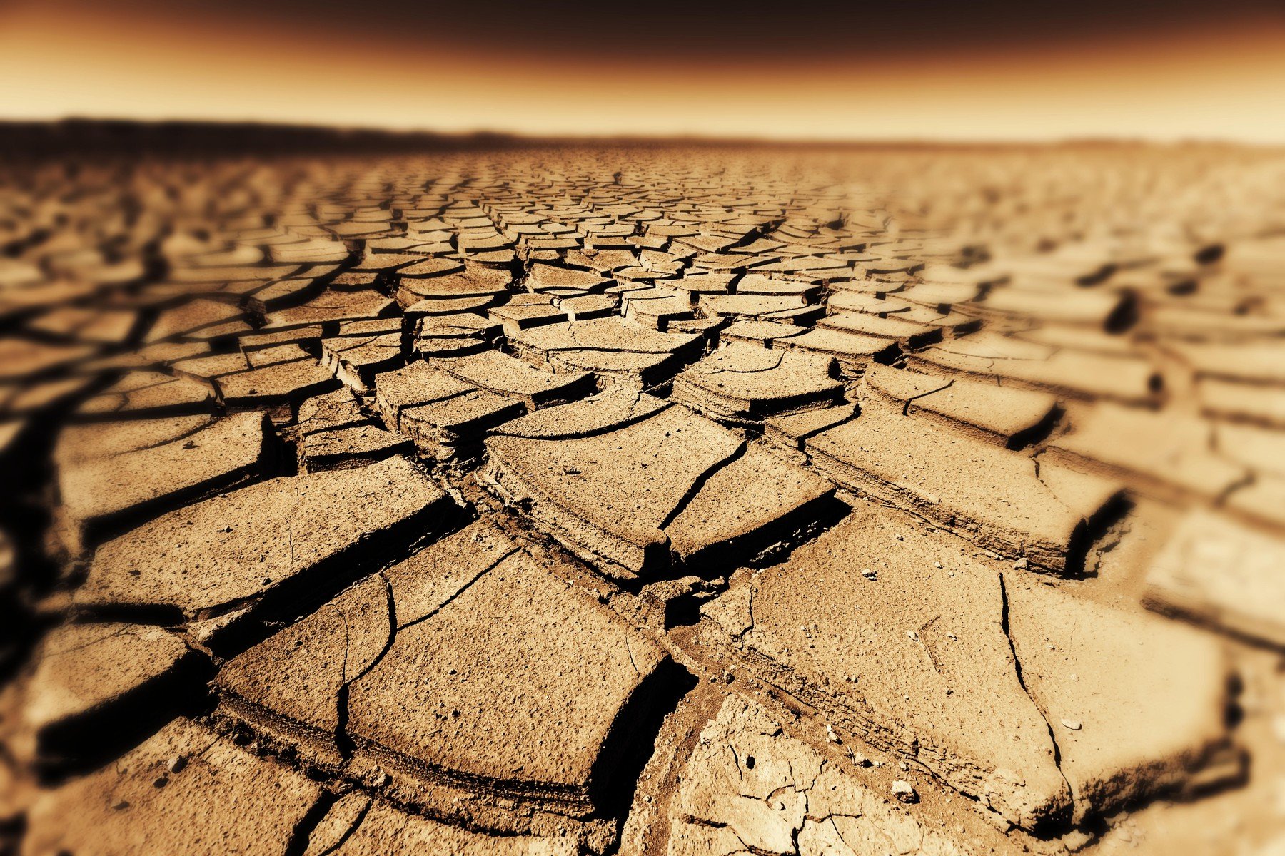 Seceta severă, o amenințare la adresa sănătății publice: riscul crescut de răspândire a bacteriilor rezistente la antibiotice Un nou studiu avertizează asupra unei legături îngrijorătoare între seceta prelungită și creșterea rezistenței bacteriilor la antibiotice