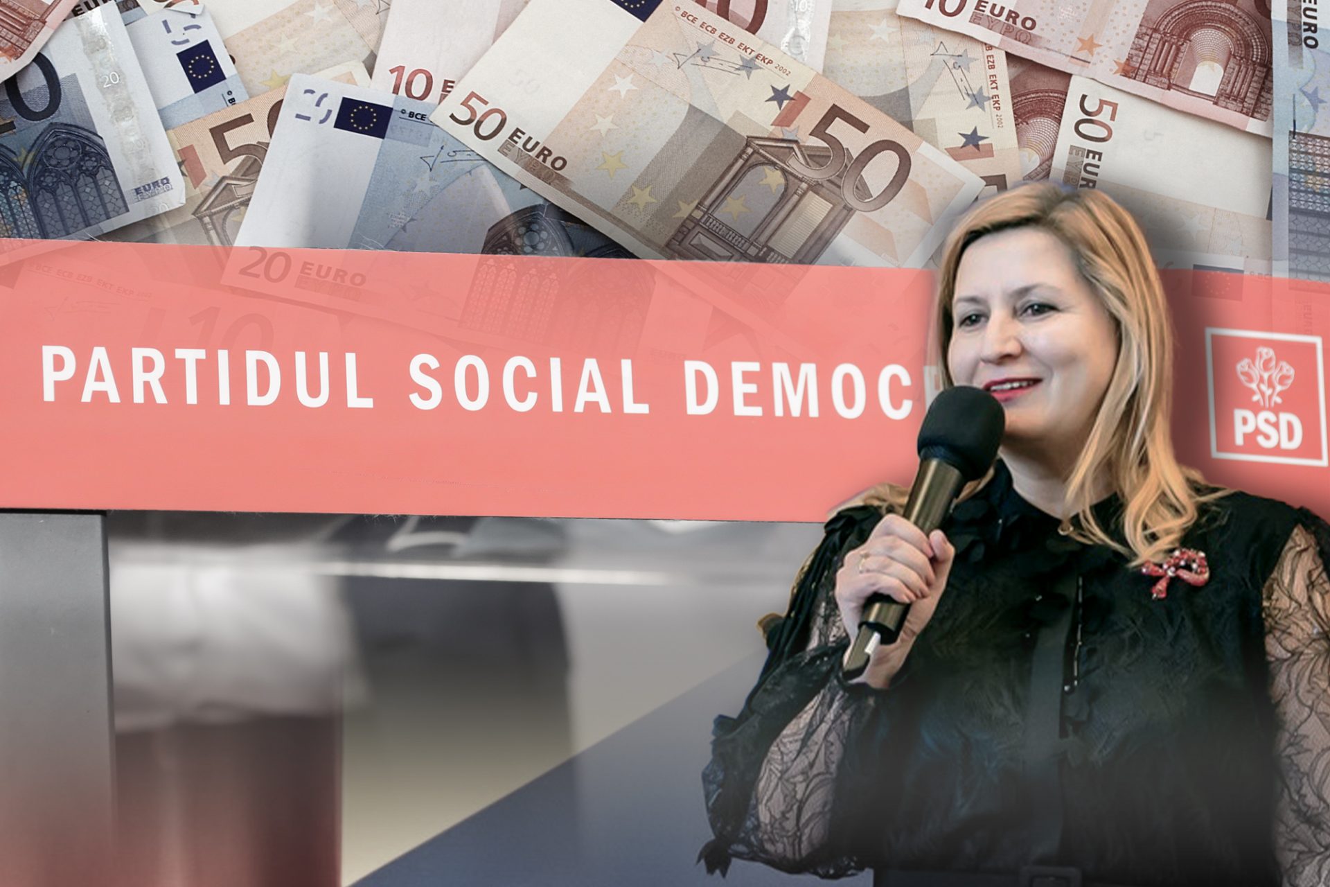 Directoarea economică a PSD, ELENA VLAD, a încasat în ultimii doi ani aproximativ 500.000 de euro, sumă provenită din salariul de la partid, contracte electorale și venituri de la firmele sale, conform unei investigații realizate de site-ul snoop.ro