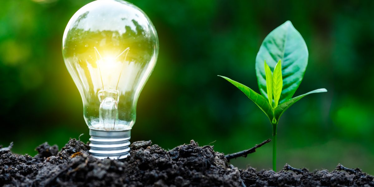 Criza energetică zguduie Europa: Regenerabilele, salvarea pe termen lung