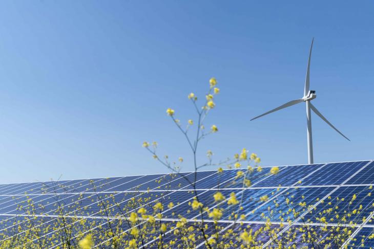 eoliene-panouri-solare-EDP-Renewables-Sursa-foto-edpr.com_.jpg - NewsFactor