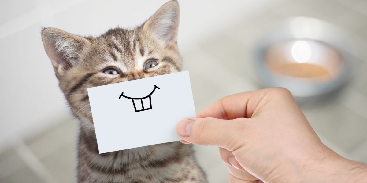 Umorul, secretul longevității: Râzi mult, trăiești mai mult