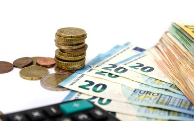 Bugetul României, lovit crunt: Subvenții tăiate masiv până în 2026, minus 20%