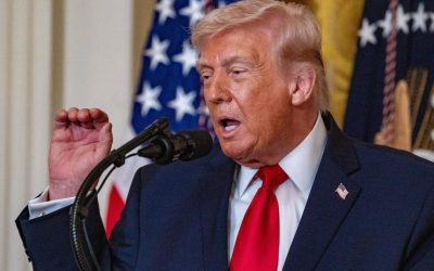 Europa, vulnerabilă fără SUA? De ce NATO nu se lasă dizolvat de Donald Trump