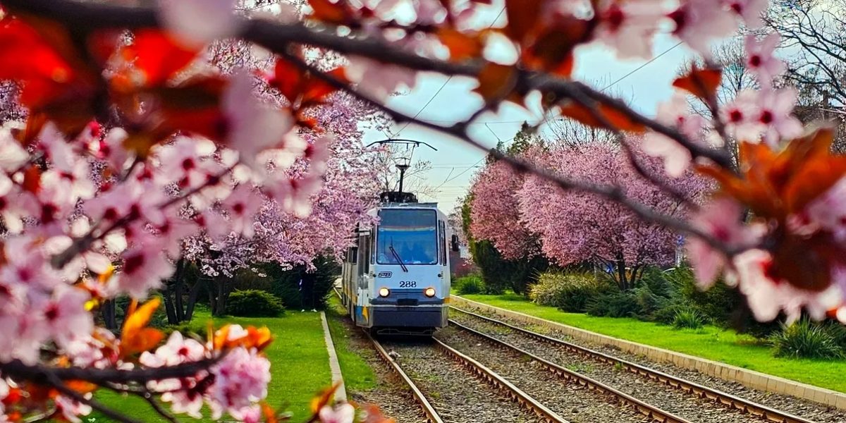 Marile evenimente din București, pe care chiar nu le ratezi
