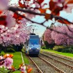 Marile evenimente din București, pe care chiar nu le ratezi