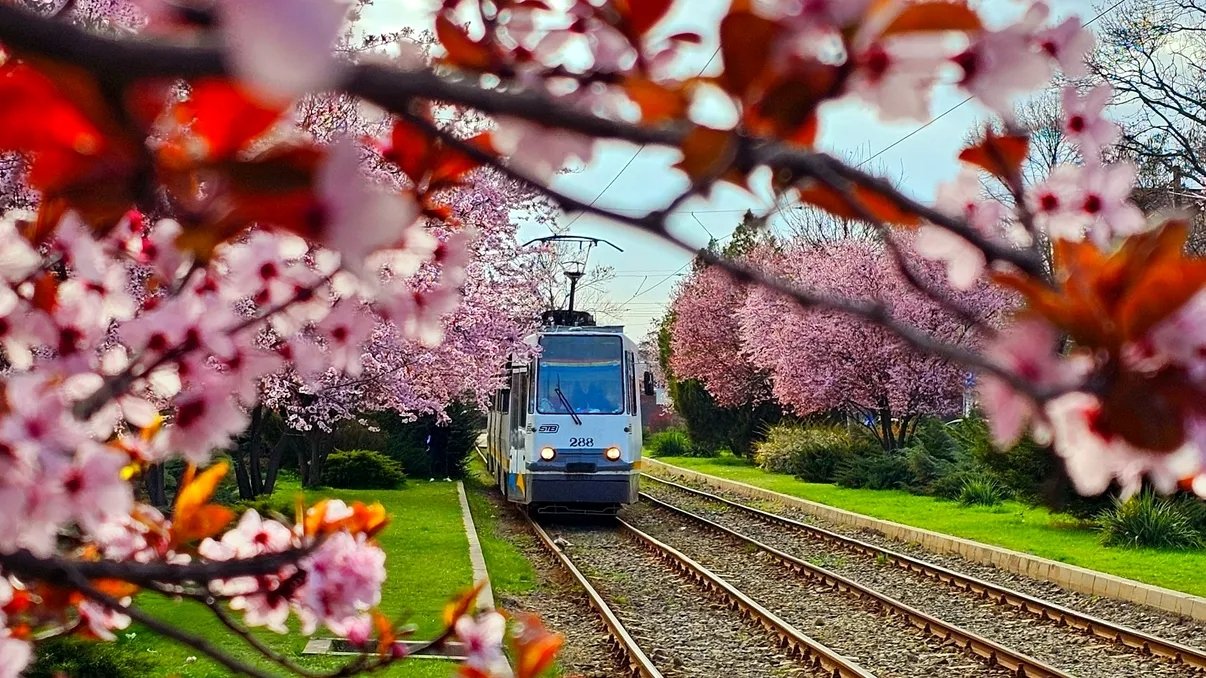 Marile evenimente din București, pe care chiar nu le ratezi