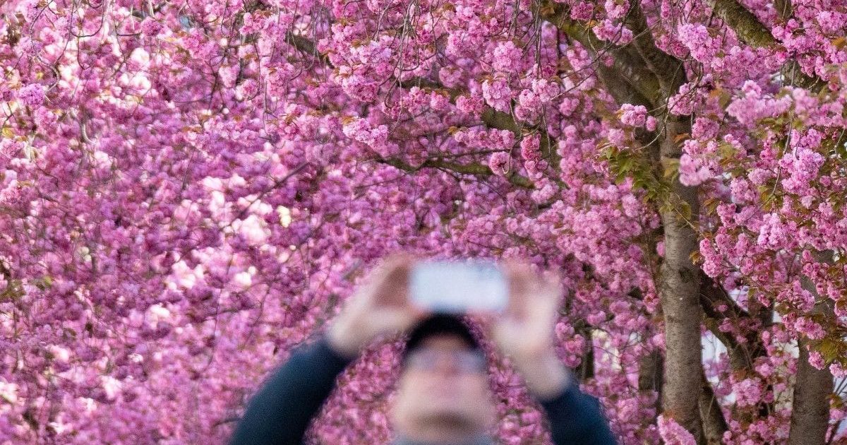 Meteo: Cum va fi vremea de 1 Mai în România? Prognoza ANM până pe 10 mai