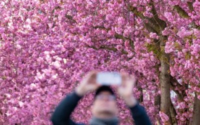 Meteo: Cum va fi vremea de 1 Mai în România? Prognoza ANM până pe 10 mai