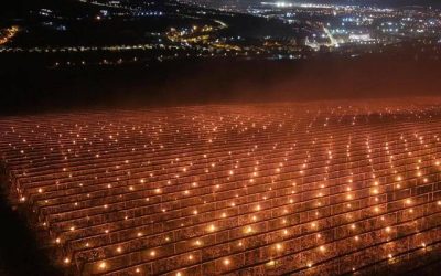 Costuri de-o avere pentru salvarea livezilor: „Am ars 40.000 de euro!”, spun fermierii din Cluj