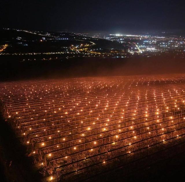 Costuri de-o avere pentru salvarea livezilor: „Am ars 40.000 de euro!”, spun fermierii din Cluj