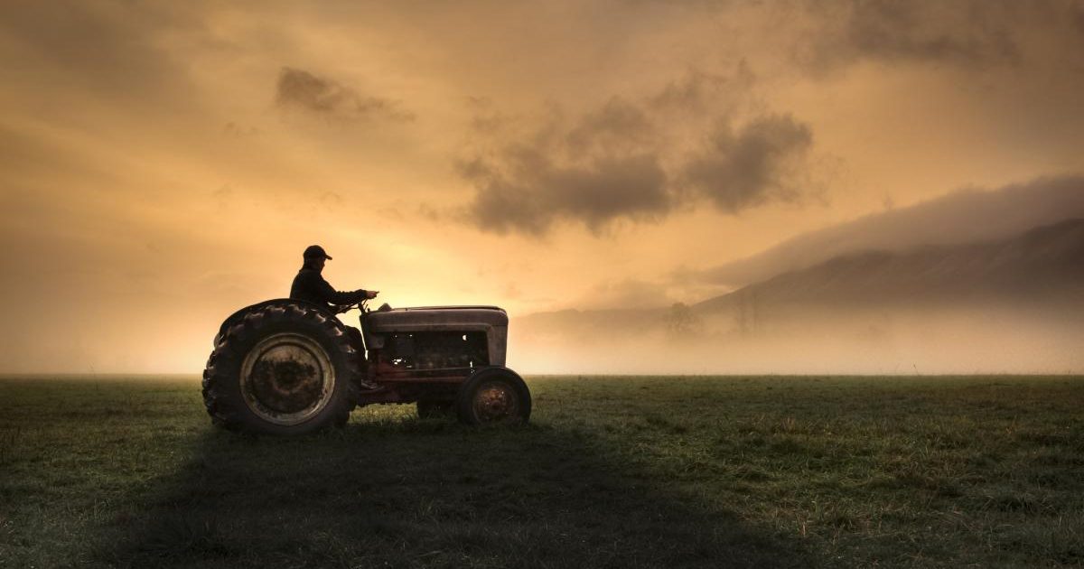 Fermieri, strigăt de alarmă: Guvernul și UE, acuzați de incompetență în agricultură