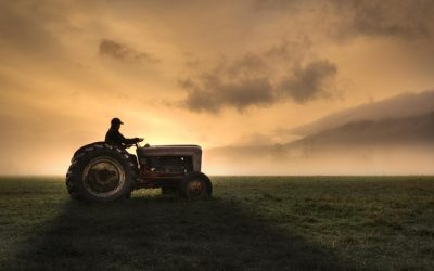 Fermieri, strigăt de alarmă: Guvernul și UE, acuzați de incompetență în agricultură