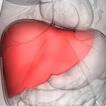 ficat-1200x545-c-1.png - NewsFactor