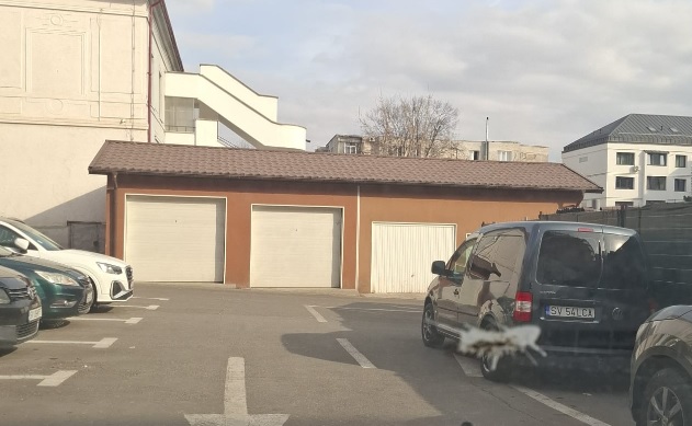 Primăria suceava, acuzată de protecție: Garaje ilegale, dar pentru „grei”