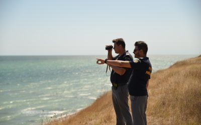 Percheziții DNA la Vama Isaccea: Scandal uriaș cu acuze de corupție