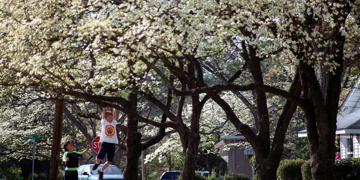 ghows-NC-93541d05-27fe-6fa9-e053-0100007ffa93-5ab71f2f.jpeg - NewsFactor